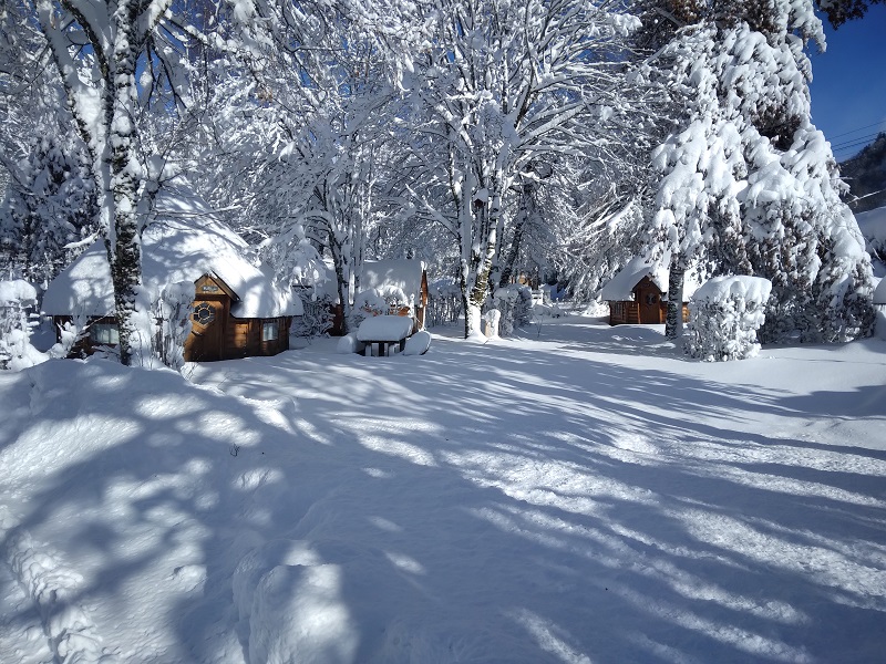 20230118_113627 20230118_113627